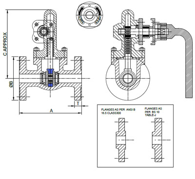 Cast Steel Blow Down Valves