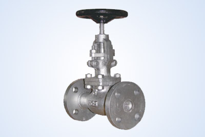 Cast Steel Globe Valves